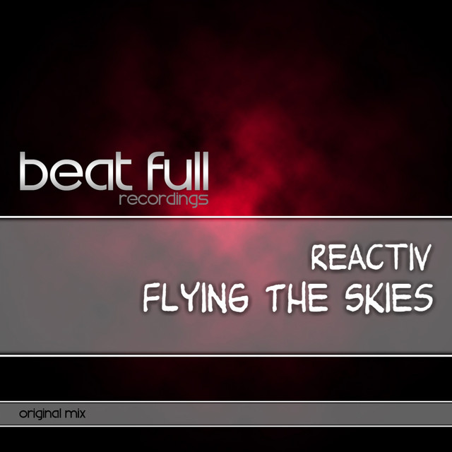 Flying The Skies cover