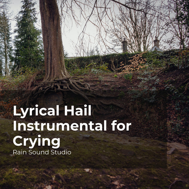 Lyrical Hail Instrumental for Crying cover art