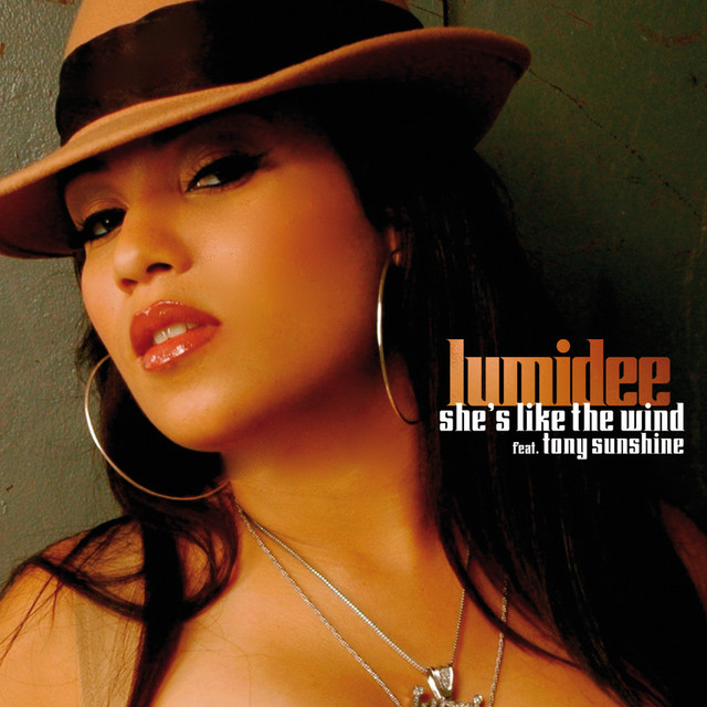 She's Like The Wind - Radio Edit