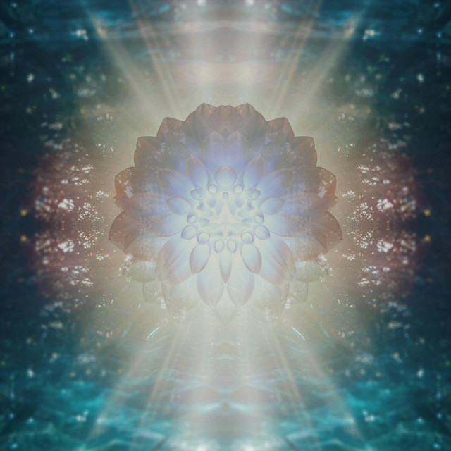 Bloomphase cover art