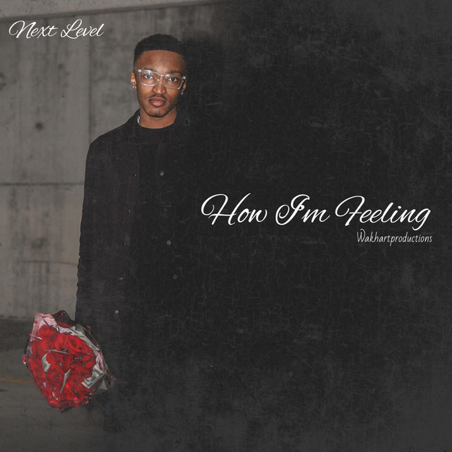 How Im Feeling - Single by NXLGABE | Spotify