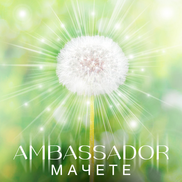 AMBASSADOR cover art