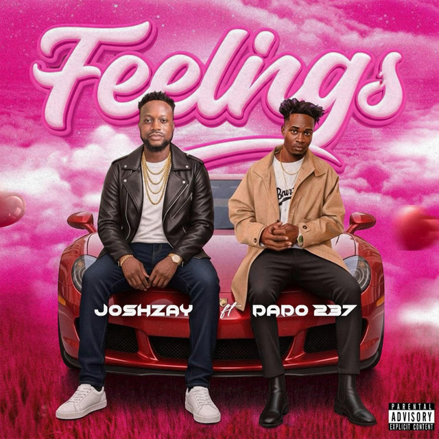 Feelings