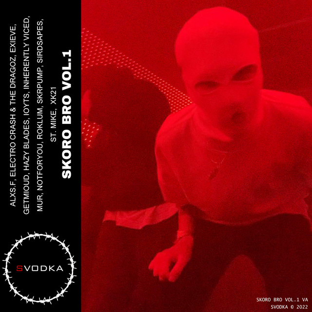 Skoro Bro, Vol.1 cover art
