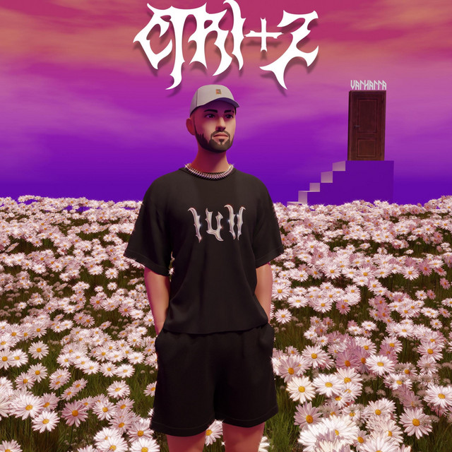 Ctrl+z cover art