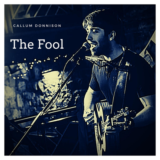 The Fool - Single by Callum Donnison | Spotify