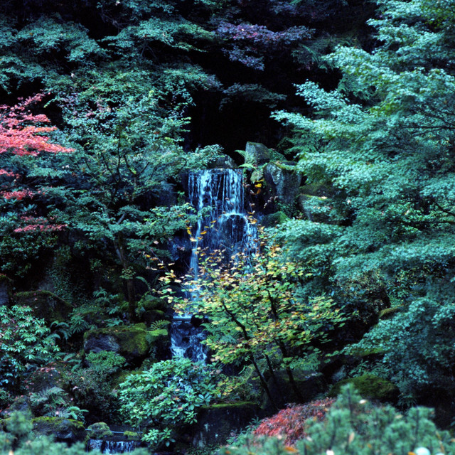 Garden cover art