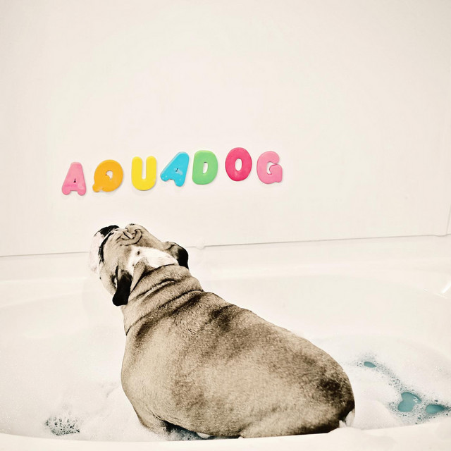 Aquadog