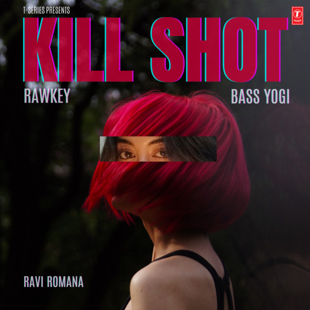 KILL SHOT cover art