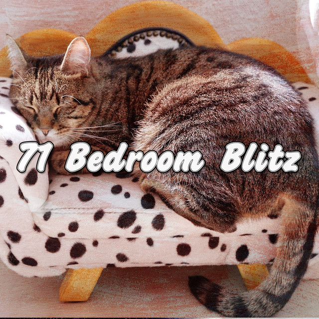 Bedroom Blitz cover art