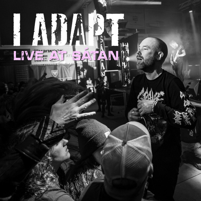 Ape City (live at Sátan 2024) cover