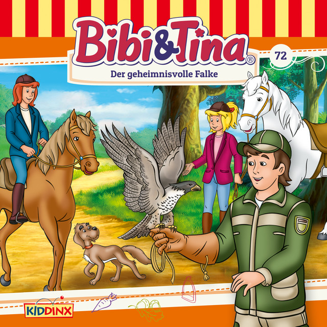 Cover: Der geheimnisvolle Falke