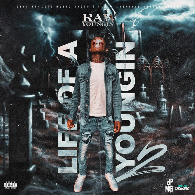 Life of a Youngin' 2 cover art