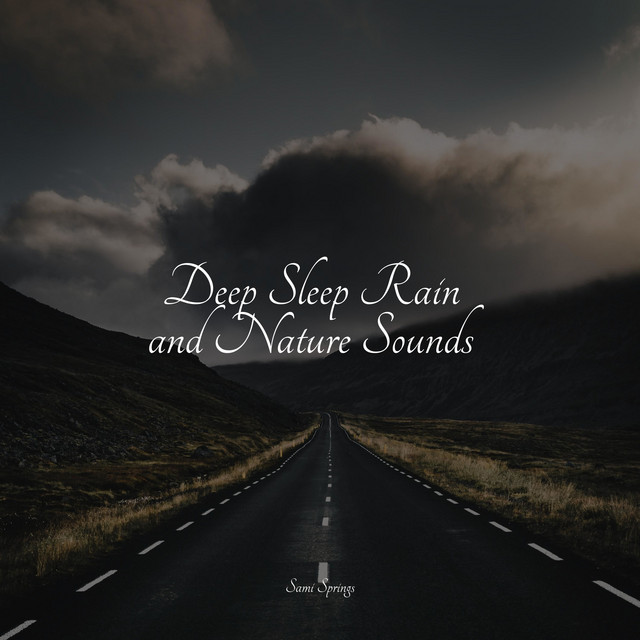 Deep Sleep Rain and Nature Sounds - Album by SleepTherapy | Spotify