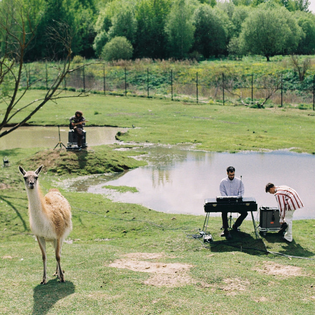 Summer live session cover art