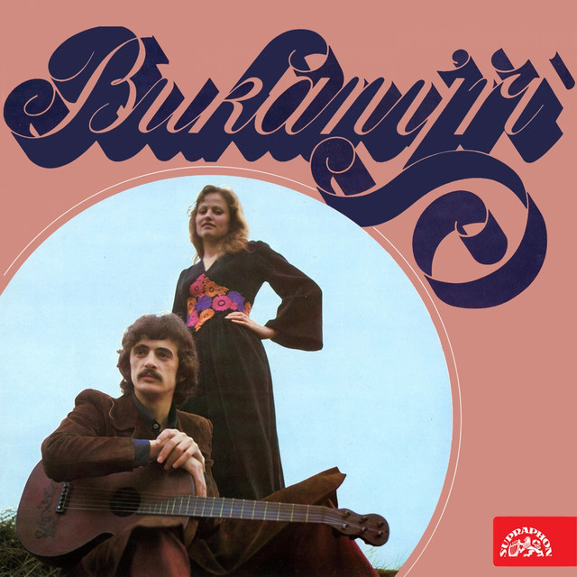 Bukanýři cover art