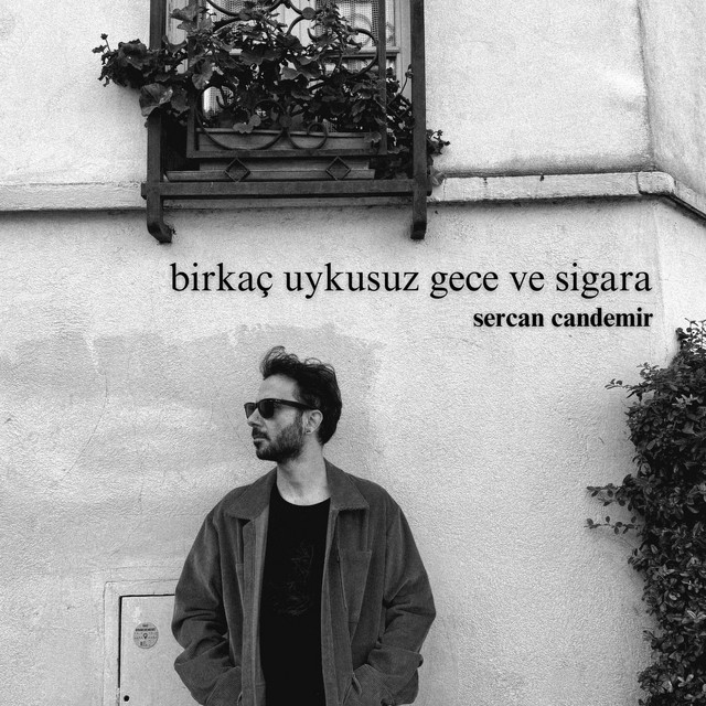 Birkaç Uykusuz Gece Ve Sigara cover art