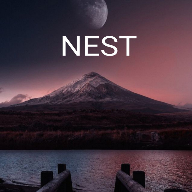 Nest cover art
