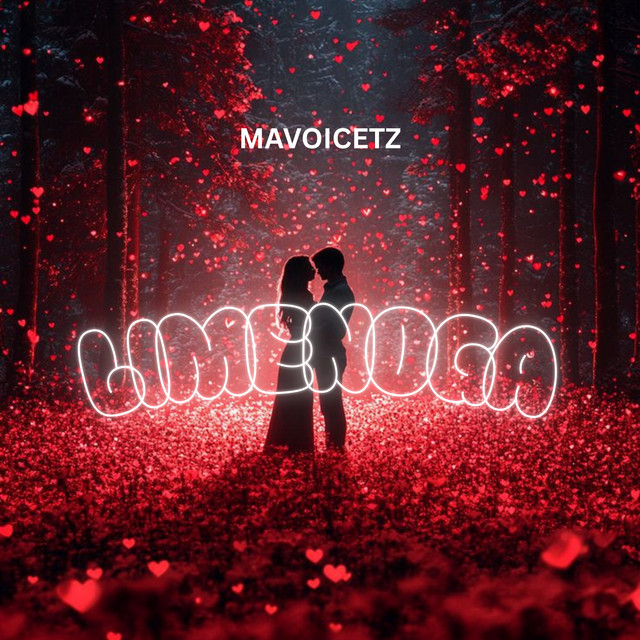 Mavoicetz