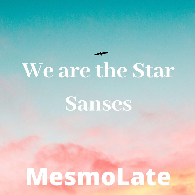 We Are the Star Sanses cover art