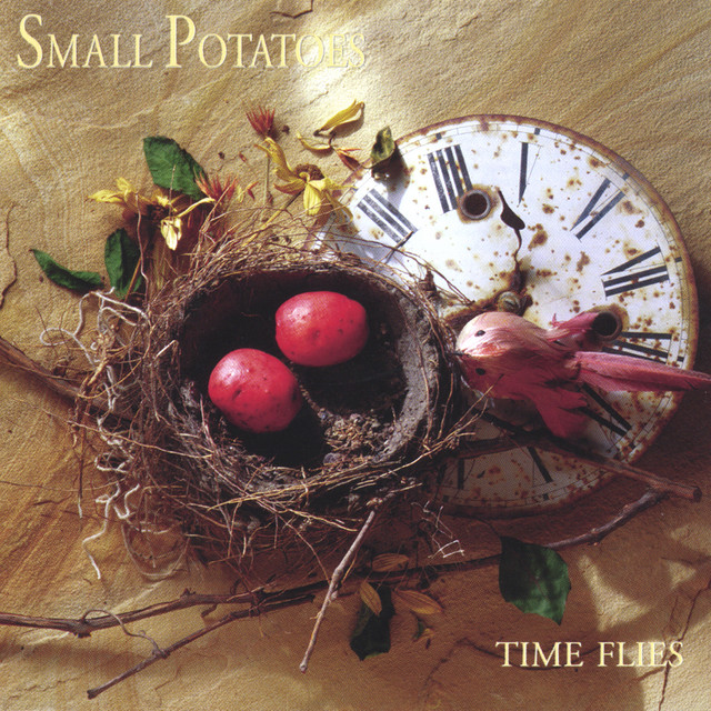 Time Flies cover art