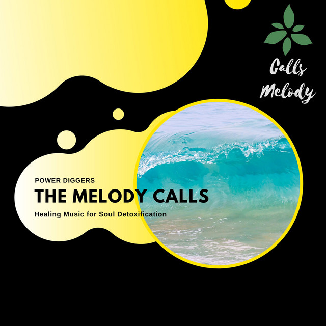 The Melody Calls - Healing Music For Soul Detoxification cover art