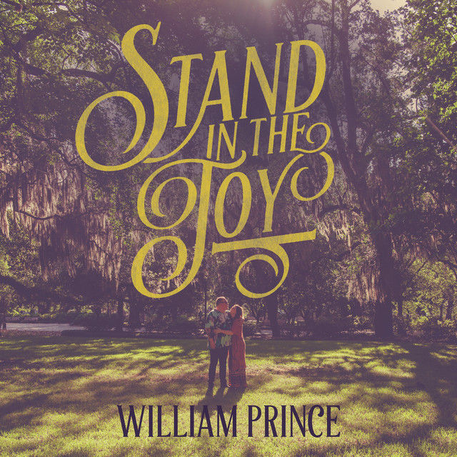 Stand in the Joy cover art