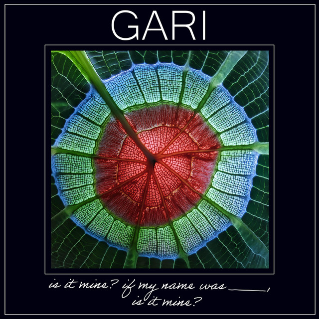 Is it mine? If my name was ___, is it mine? cover art