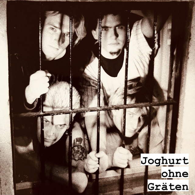 Joghurt Ohne Gräten Photo