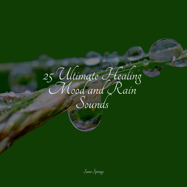25 Ultimate Healing Mood and Rain Sounds - Album by Nature Sounds | Spotify