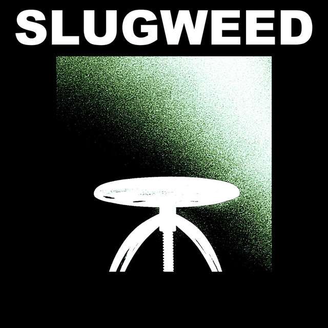 Songs for the Unidentified Space Traveler cover art