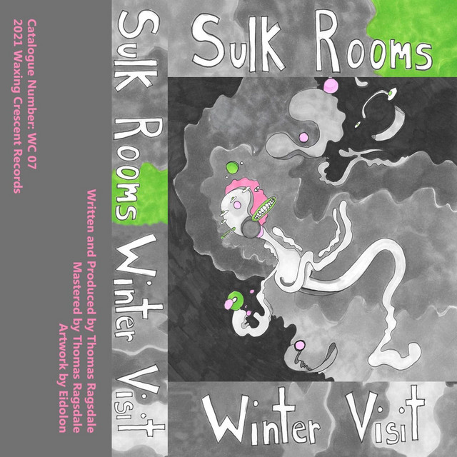 Winter Visit cover art