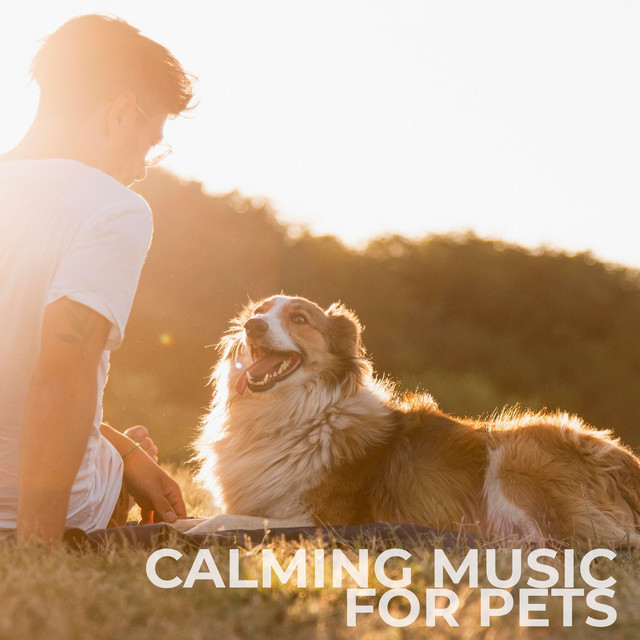 Calming Music For Pets cover art