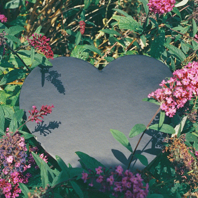 Heart-Shaped Box cover