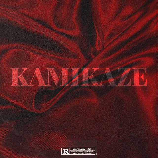 Kamikaze cover