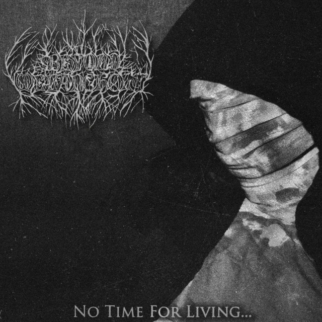 No Time For Living... cover art