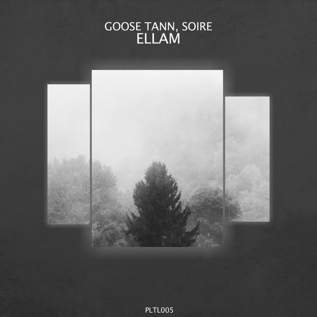 Ellam album art