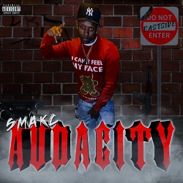 AUDACITY cover art