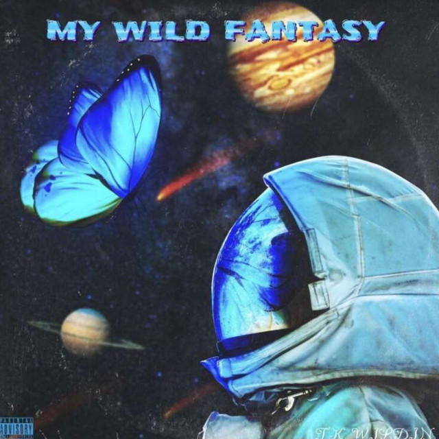 My Wild Fantasy cover art