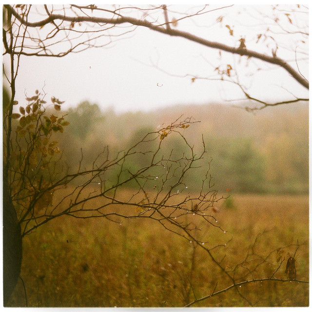 Something Golden cover art