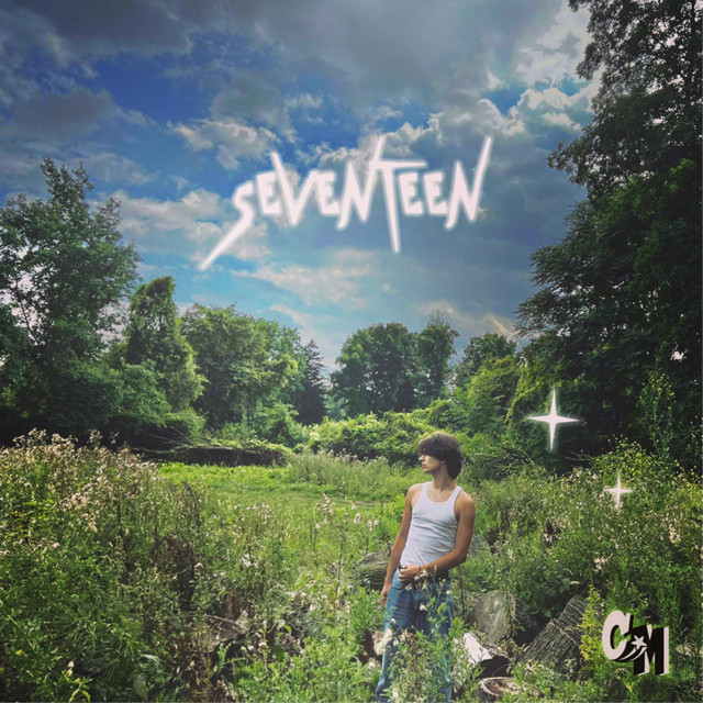 17 cover art