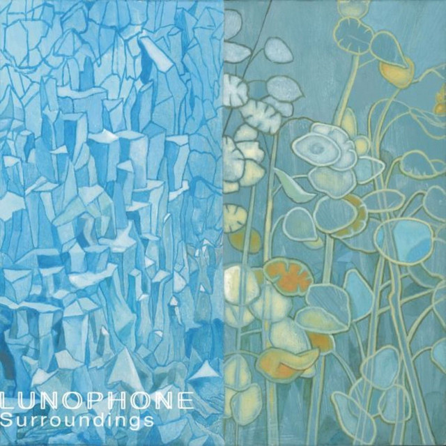 Surroundings cover art