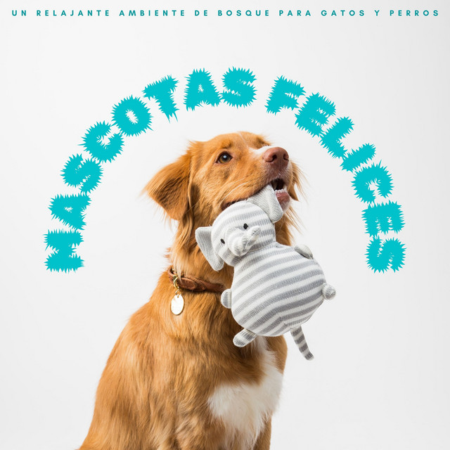 Mascotas Felices: Un Relajante Ambiente De Bosque Para Gatos y Perros cover art