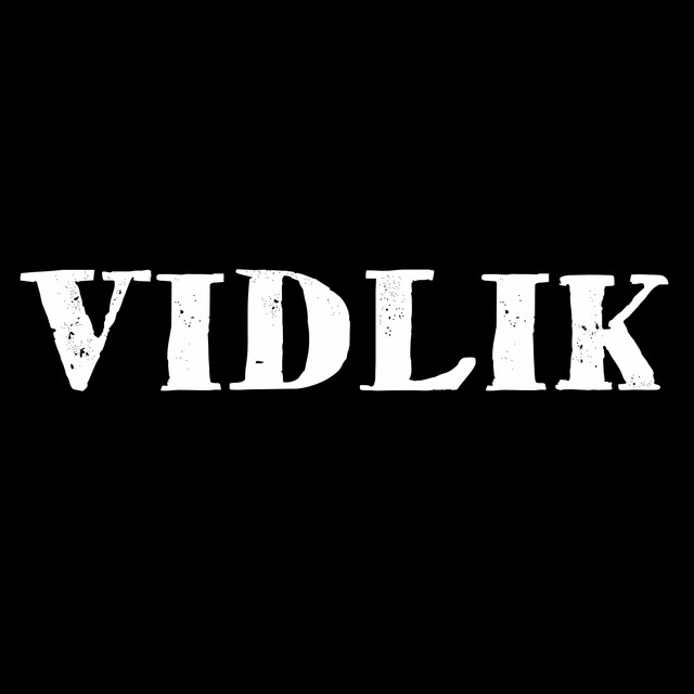 Обкладинка: Дівчина Rock'n'Roll — VIDLIK