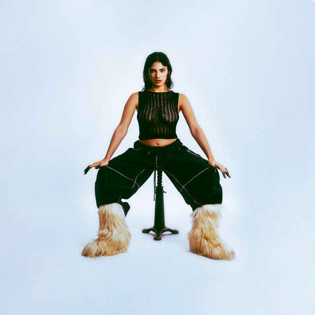Never go away cover art