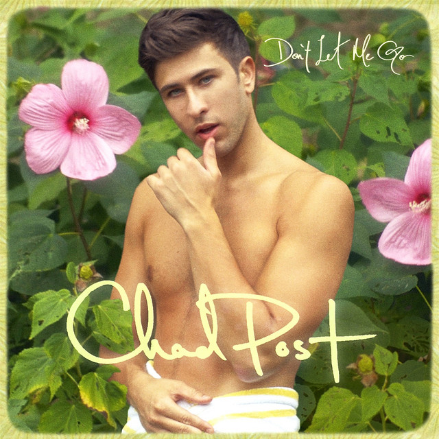 Don't Let Me Go - Single by Chad Post | Spotify