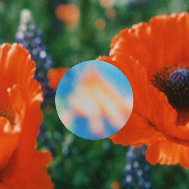 Lichen cover art