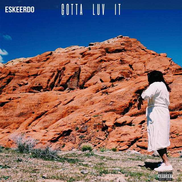 Gotta Luv It cover