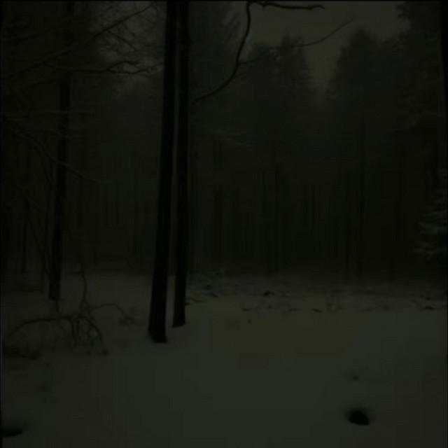 never know cover art