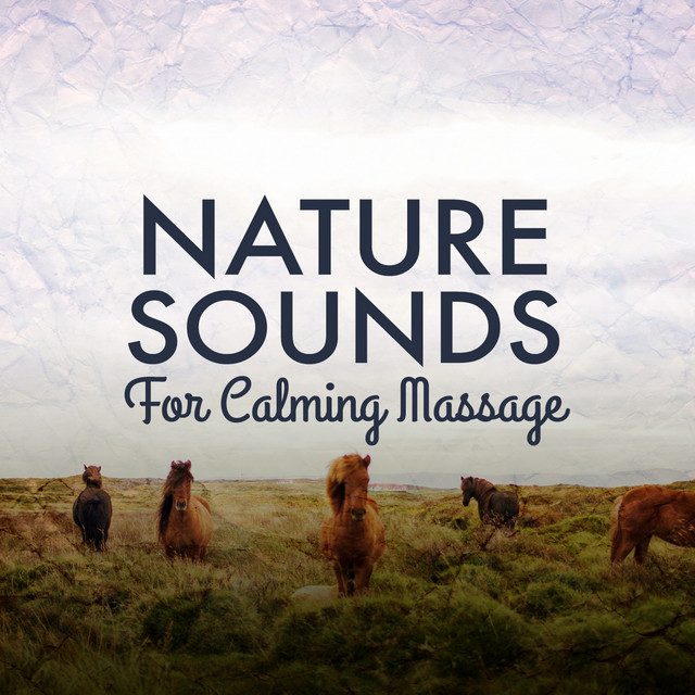 Nature Sounds for Calming Massage cover art